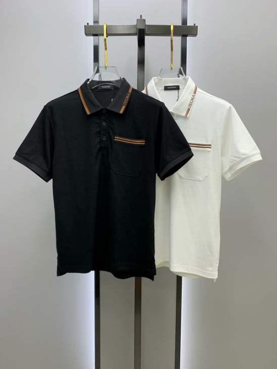 Picture of Zegna Polo Shirts Short _SKUZegnaM-3XLomtr2425234
